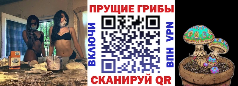 Галлюциногенные грибы мицелий  Купить закладки  Кушва 